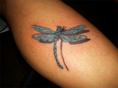 Dragonfly Tattoo
