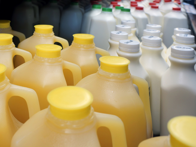 Drinking Expired Milk During Pregnancy