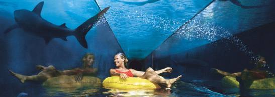 Dubai Hotel Inside Sea