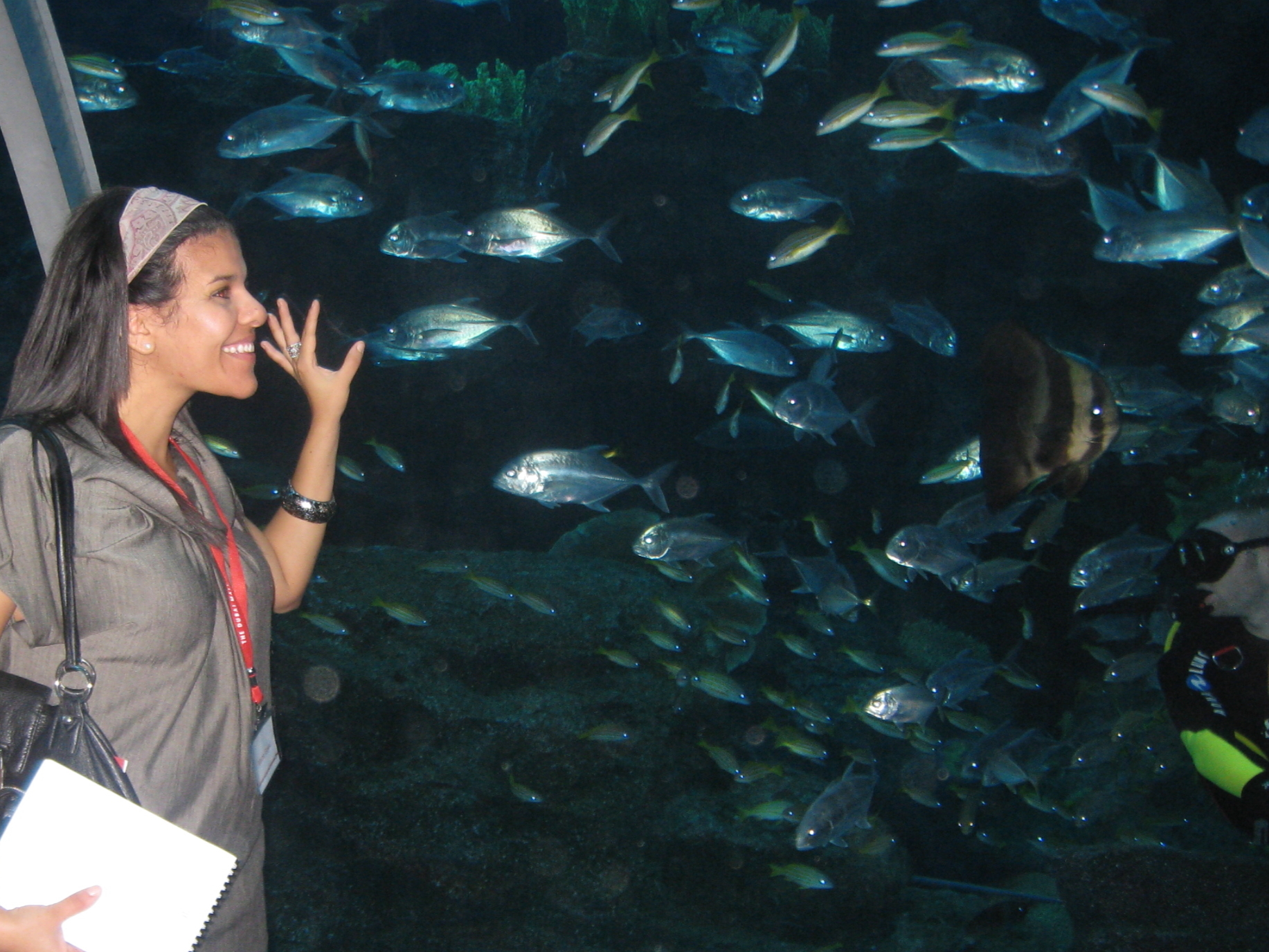 Dubai Mall Aquarium Shark