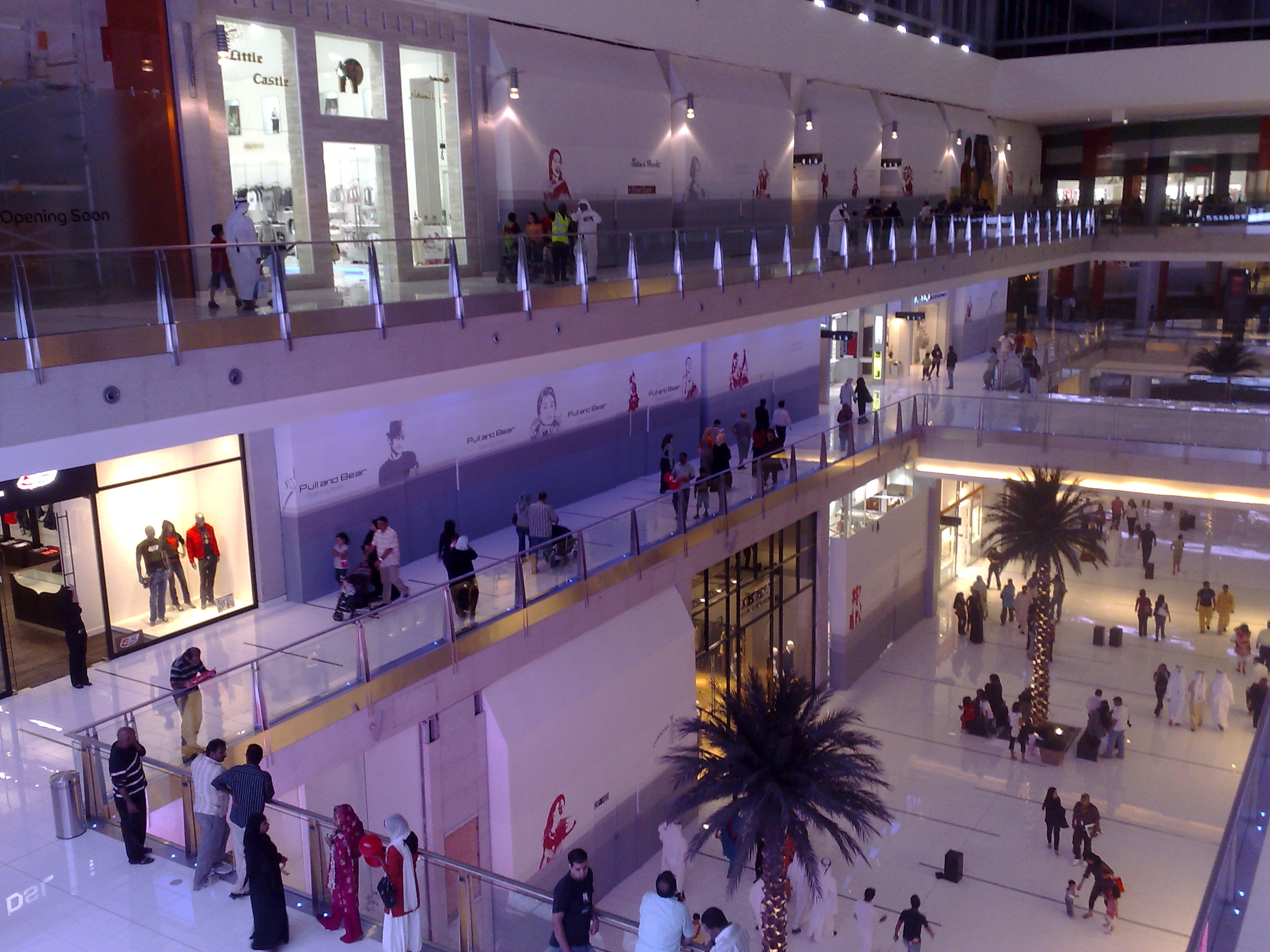 Dubai Mall Pictures