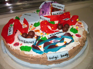 Easy Plant Cell Model Project