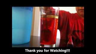 Easy Science Experiments For Kids Videos