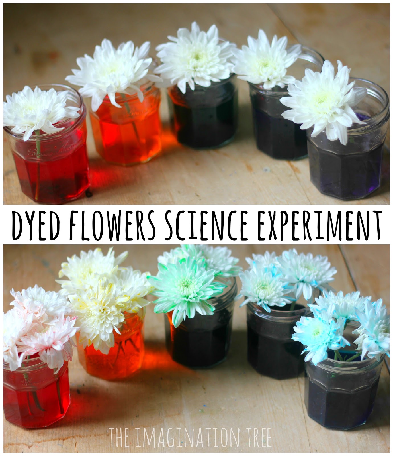 Easy Science Experiments For Kids With Food