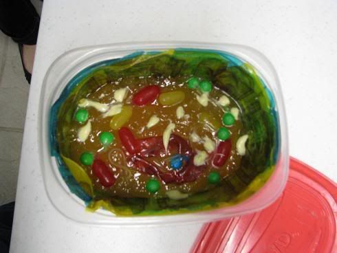 Edible Plant Cell Model Ideas