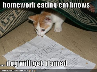 English Homework Sheets Year 5