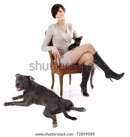 English Staffordshire Dogs