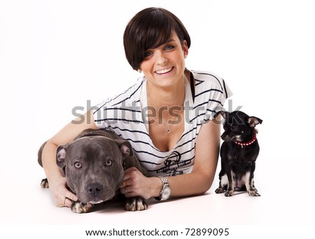 English Staffordshire Dogs