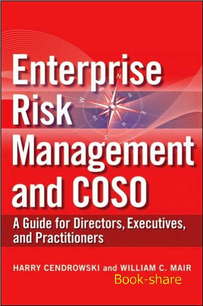 Enterprise Risk Management Framework Pdf