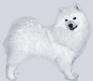 Eskimo Dog Names And Meanings