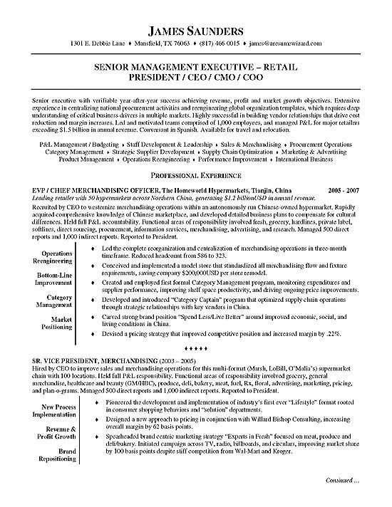 Executive Resumes Examples