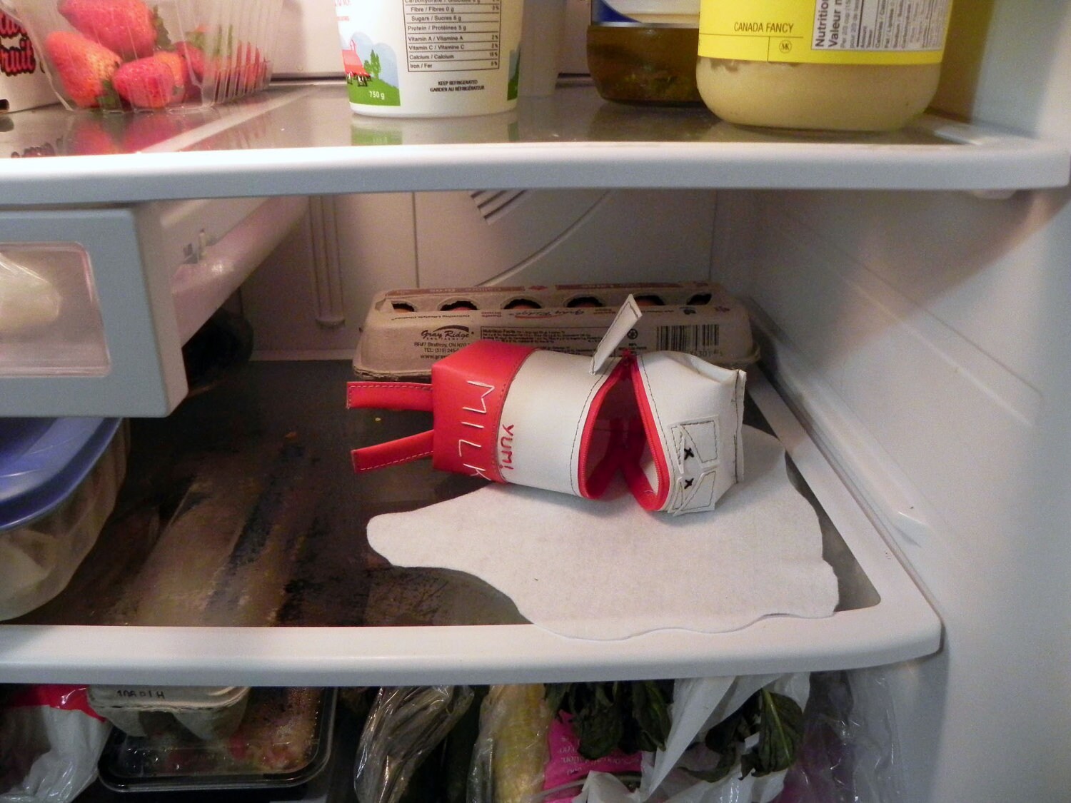 Expired Milk