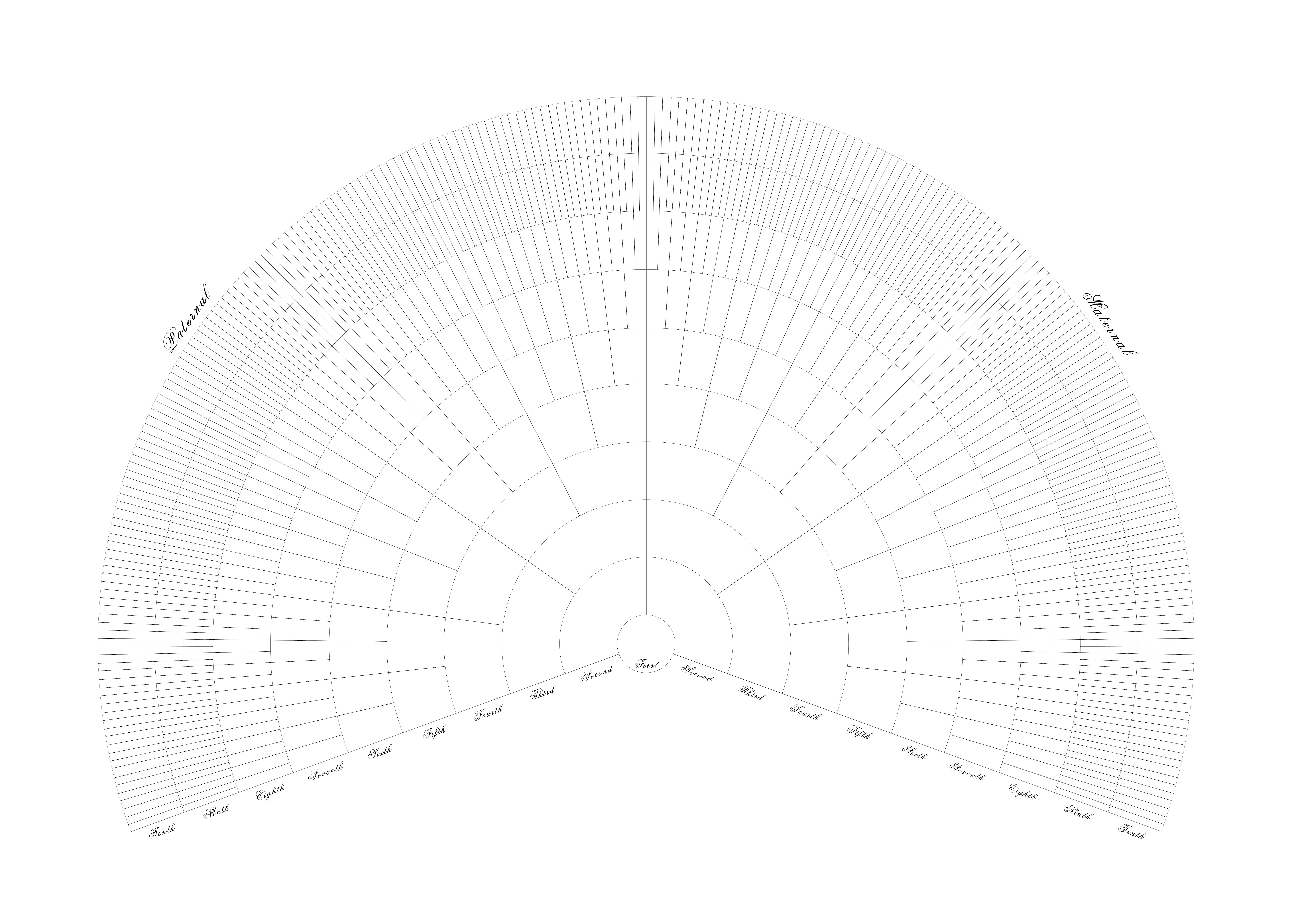 Family Tree Diagram Template Microsoft Word