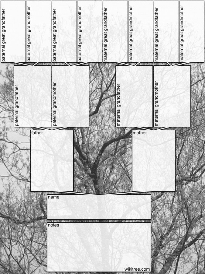 Family Tree Template For Children Printable Download