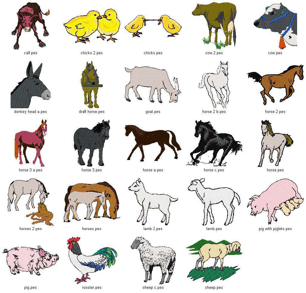 Farm Animals Cartoon Pictures