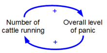 Feedback Loops In The Human Body