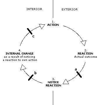 Feedback Loops In The Human Body