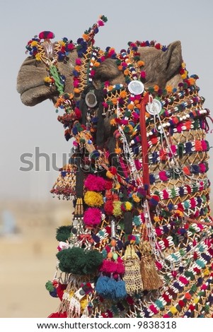 Festivals Of Rajasthan India