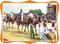 Festivals Of Rajasthan People