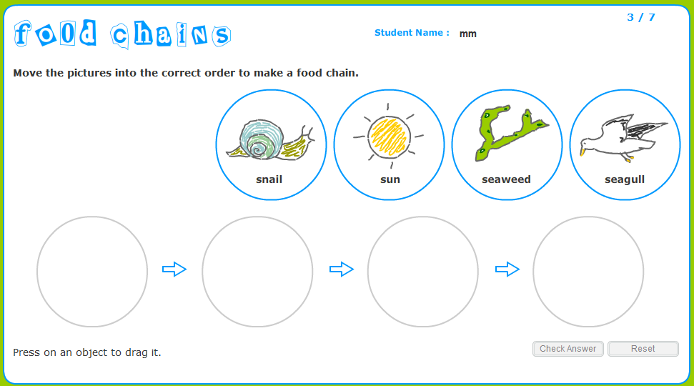 Food Chain And Food Web Worksheets High School