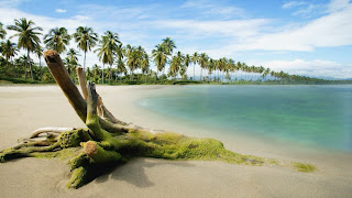 Free Wallpaper Hd 1080p Wallpaper