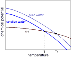 Freezing Point Of Water With Salt Added