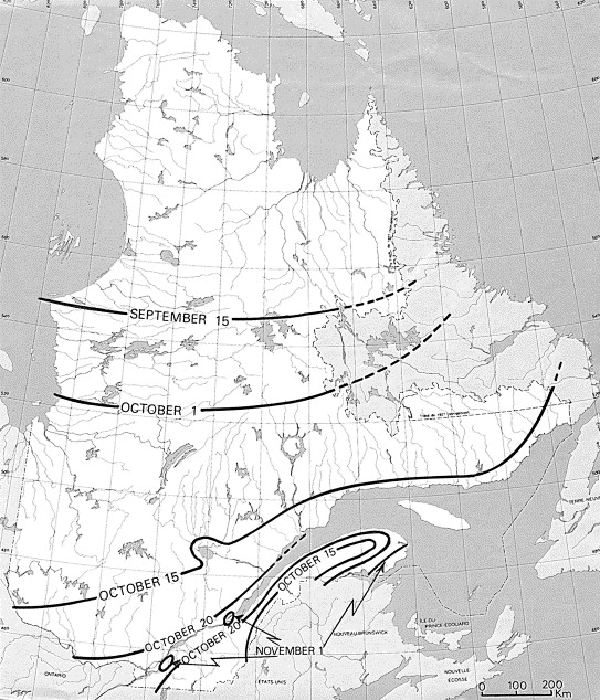 Freezing Rain Canada 1998
