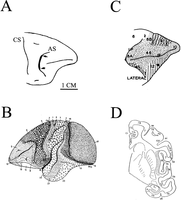 Frontal Lobe Syndrome 310.0