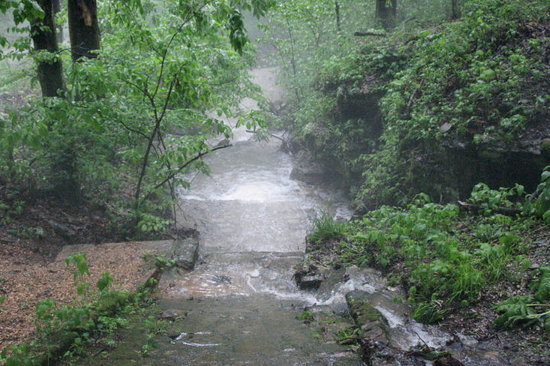 Fun Things To Do In London Ky