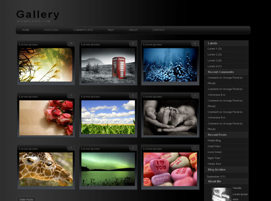 Gallery.html