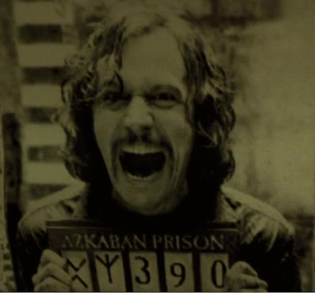 Gary Oldman Harry Potter Sirius Black