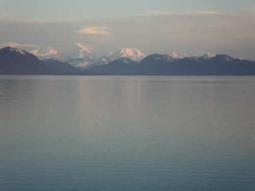 Glacier Bay Toilets Blue Button