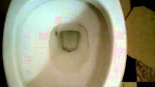 Glacier Bay Toilets Dual Flush
