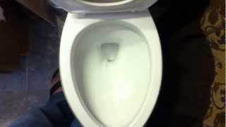 Glacier Bay Toilets Dual Flush