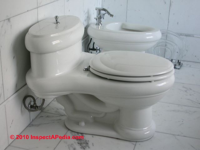 Glacier Bay Toilets Dual Flush Blue Button
