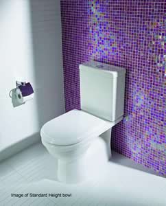 Glacier Bay Toilets Dual Flush Blue Button