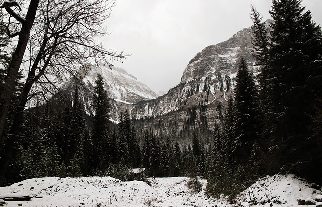 Glacier National Park Winter Hiking