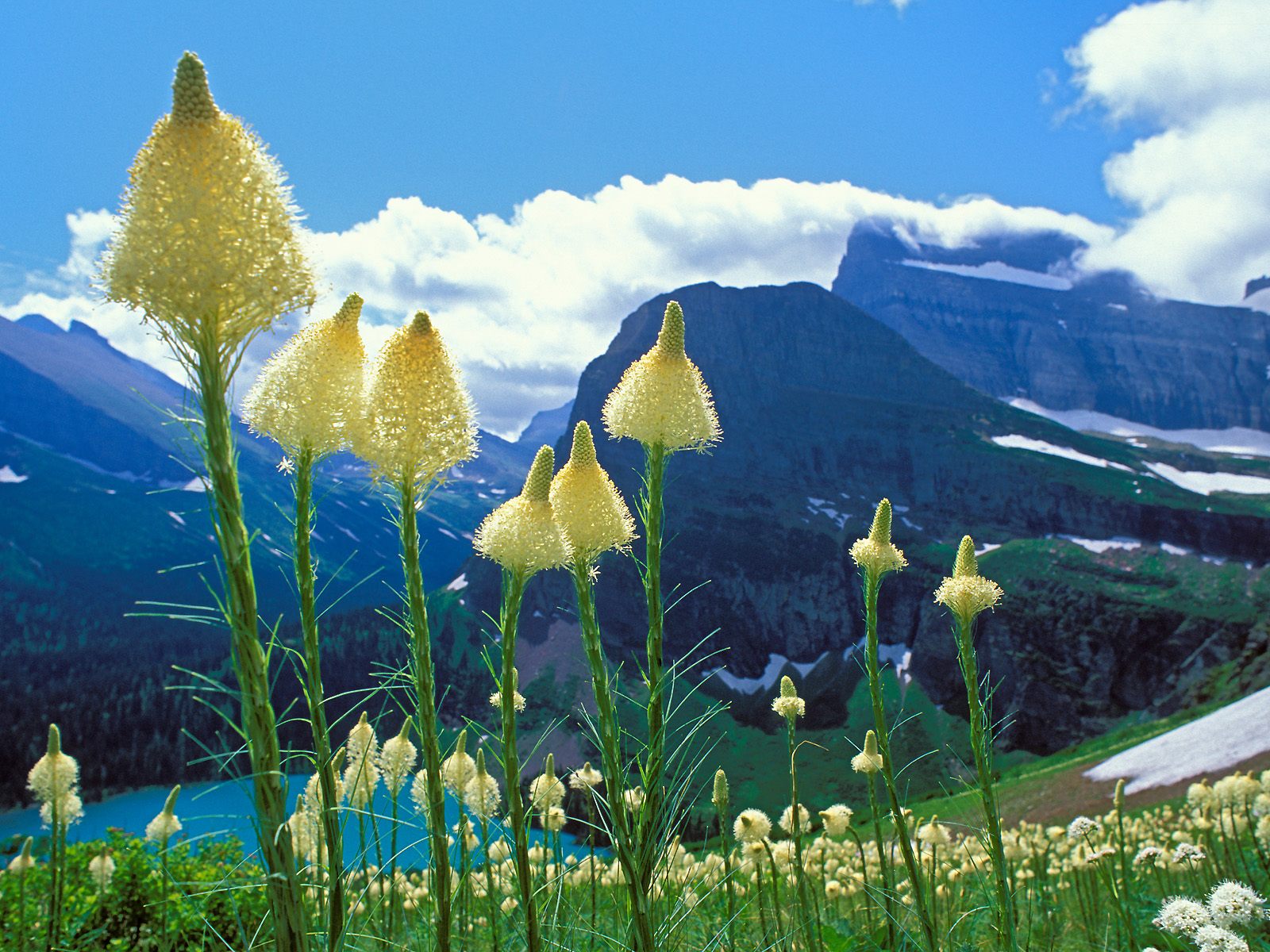 Glacier National Park Winter Tours