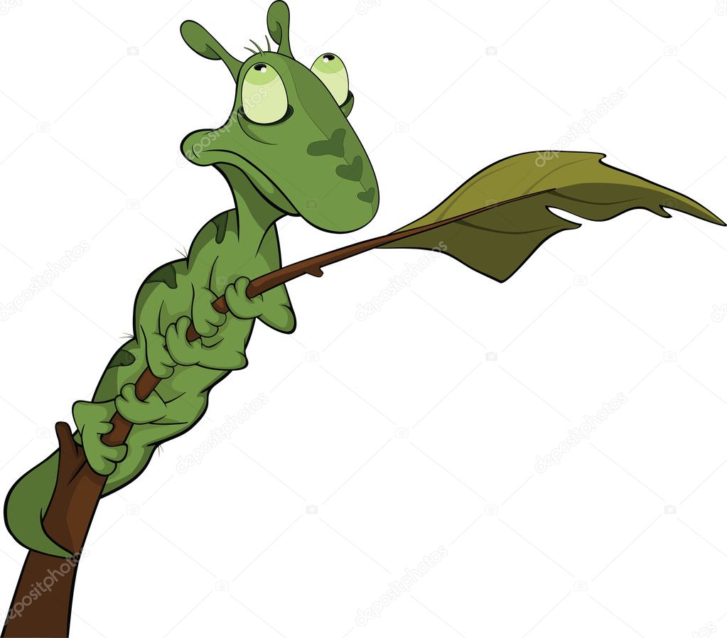 Green Caterpillar Cartoon