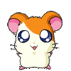 Hamtaro Laura Is Really Gone