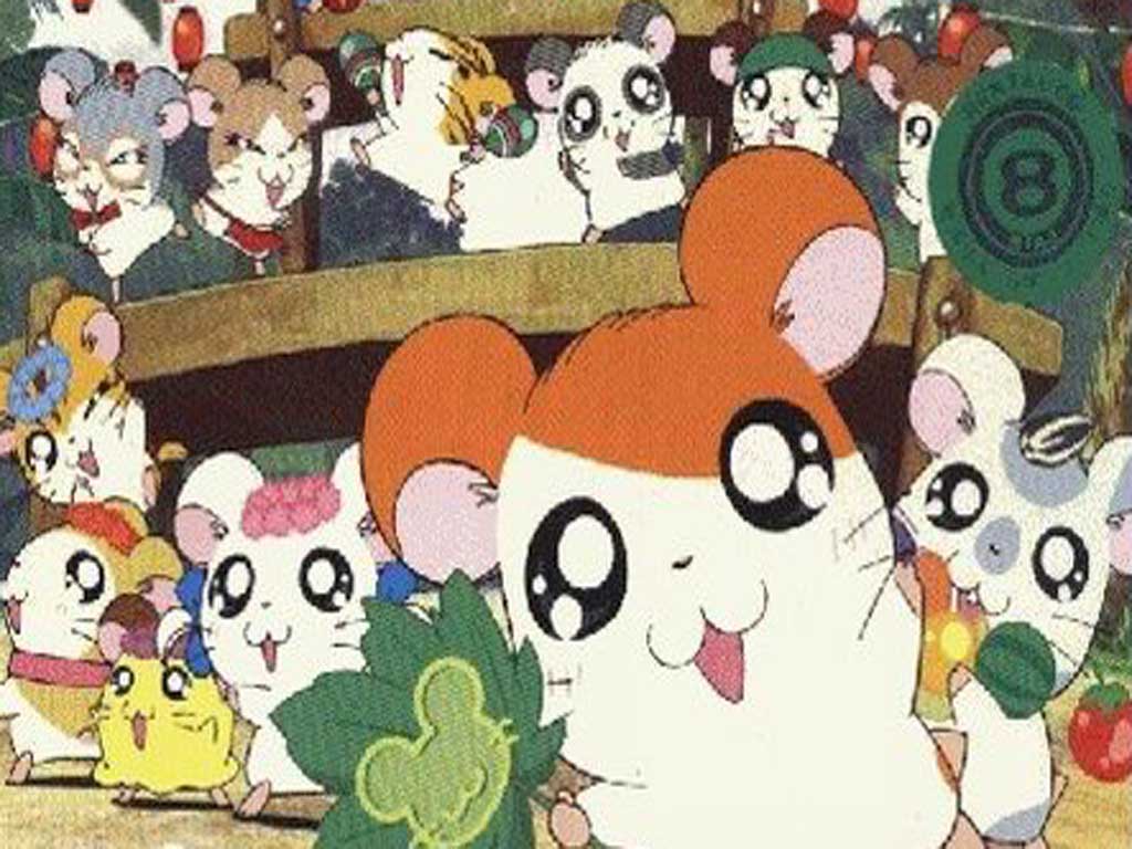 Hamtaro Wallpaper