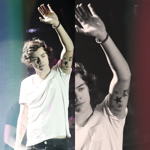 Harry Styles Butterfly Tattoo Tumblr