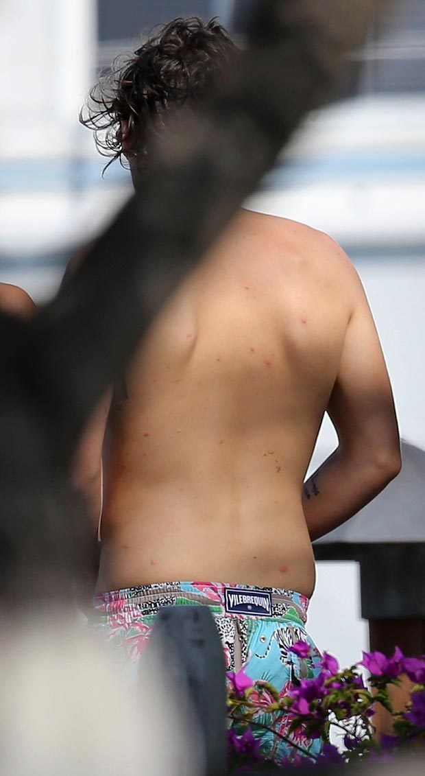Harry Styles Shirtless Pics