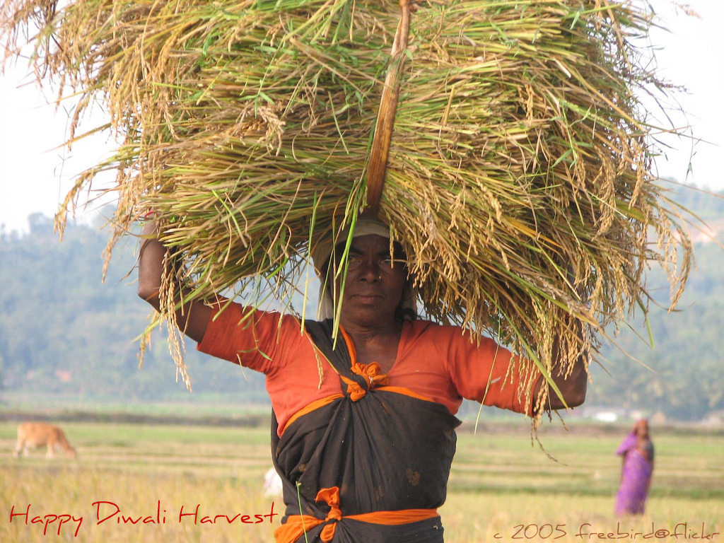 Harvest Festivals Of Kerala