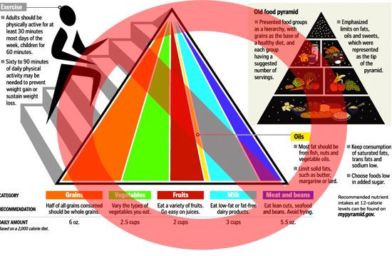Healthy Diet Chart For Men