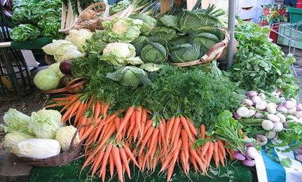 Healthy Living Food Store
