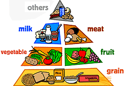 Healthy Living Pyramid Australia