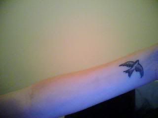 Heath Ledger Dragonfly Tattoo Meaning