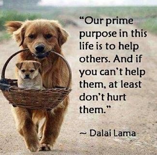 Helping Others Quotes Inspirational