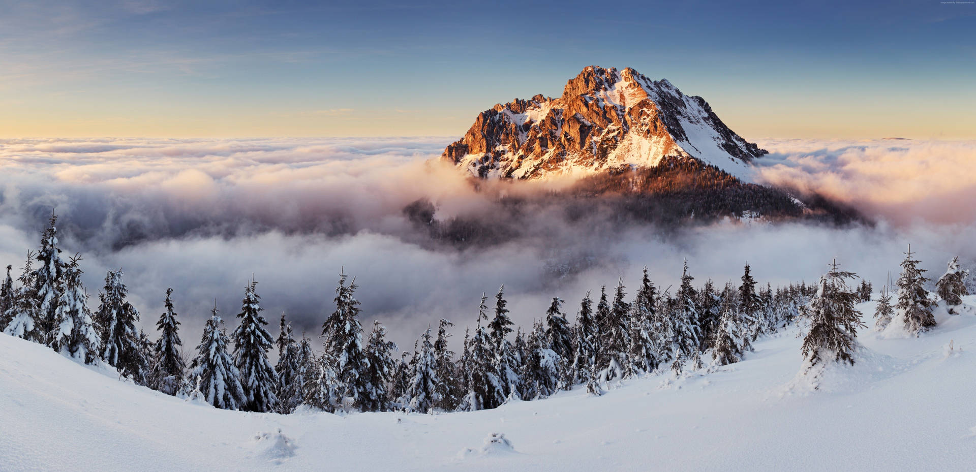 Holidays Desktop Wallpapers.html
